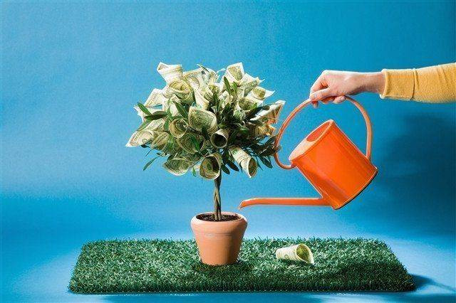 Денежный аромат: как пахнет в доме, куда деньги текут рекой