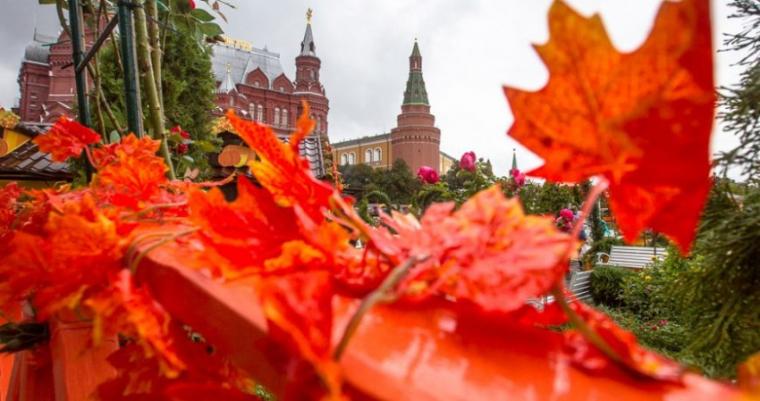День рождения осени по традиции отмечают 1 сентября