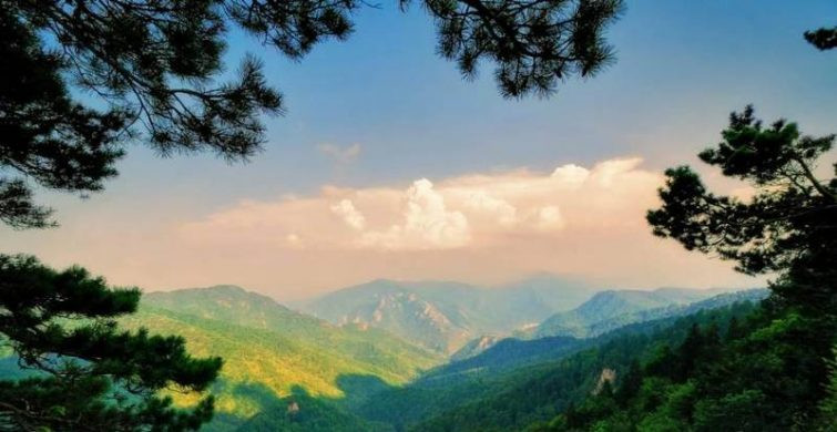 Пользователи сервиса Tripster могут заказать авторские туры с программой на несколько дней