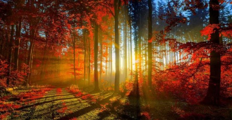 День равноденствия осенью 2022 года наступит 23 сентября