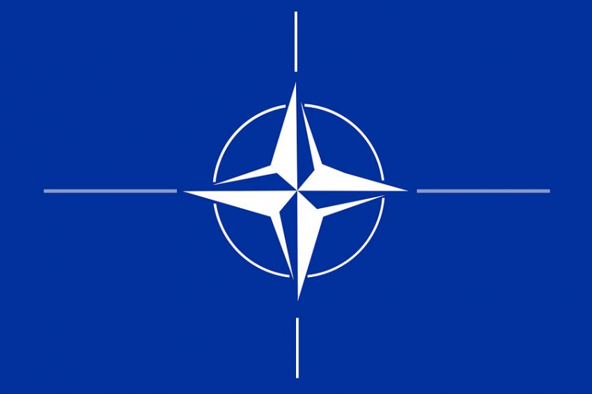 Зачем Зеленский начал давить на НАТО