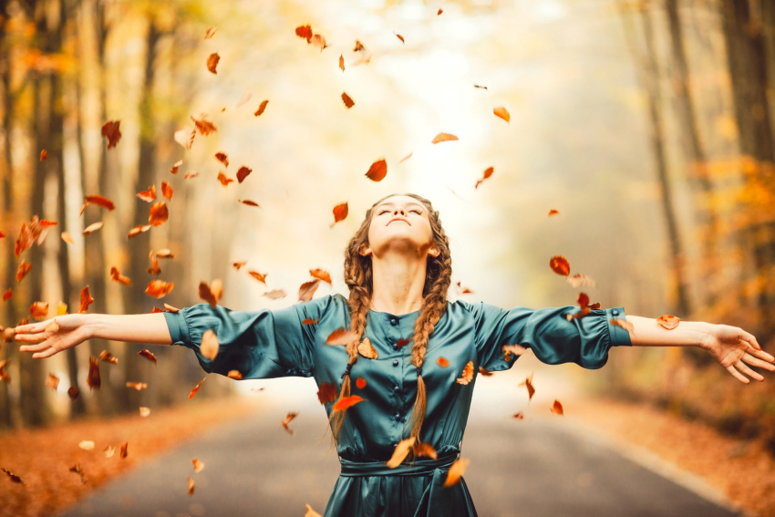 Четырехлистный клевер не требуется: как создать личную удачу и получить все, что хочешь