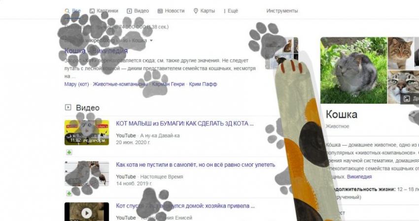 Кошачьи и собачьи лапки появились в виде пасхалок поискового сервиса Google