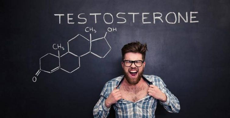 Ученые готовы поспорить с мнением, что тестостерон вызывает агрессию, облысение и рак