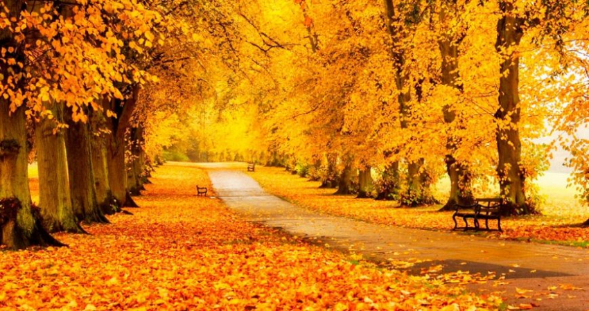 Какой праздник сегодня, 11 ноября, отмечают в России и мире