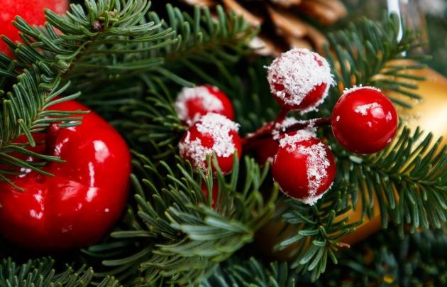 Сезон елочных базаров стартовал в Подмосковье