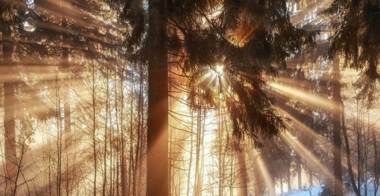 Приметы и поверья на 10 декабря 2022 года расскажут, какой будет предстоящая зима