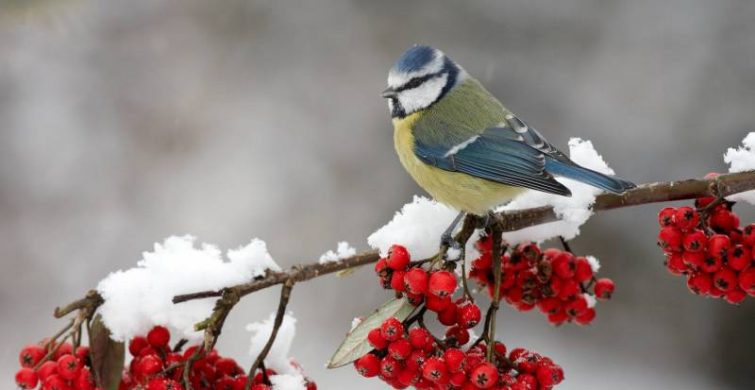 Православная церковь 14 декабря 2022 года отмечает день памяти Филарета Милостивого и пророка Наума