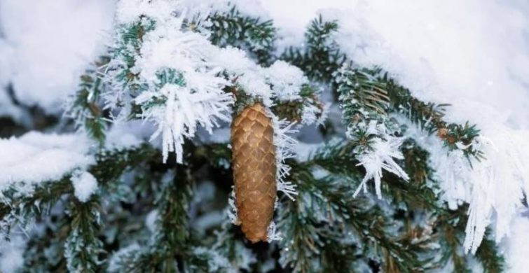 Праздник в честь святителя Иоасафа отмечается в народе 23 декабря путем наблюдения за приметами