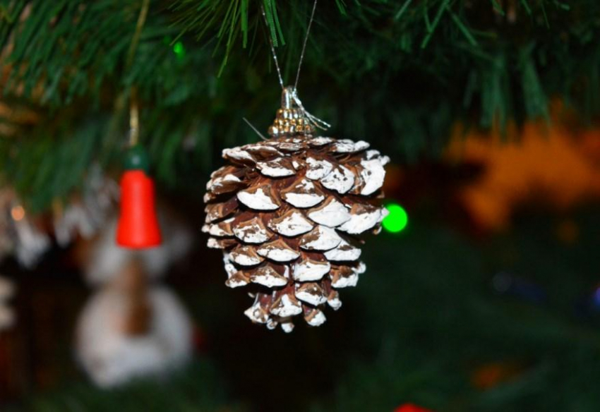 Эксперты назвали достоинства и недостатки искусственных и живых елей