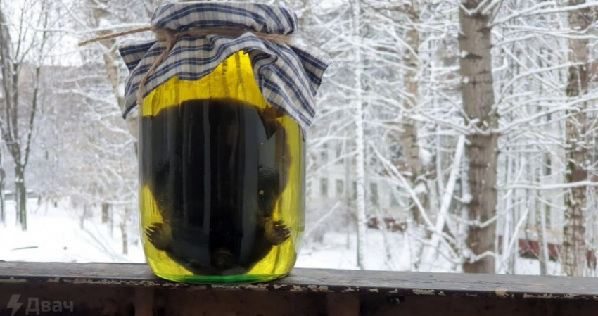 В русскоязычном «Твиттере» обсуждают рецепт «кротовухи»