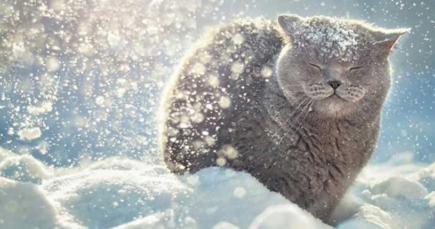 Какой праздник отмечают сегодня, 15 декабря 2022 года, народные приметы и характеристики дня