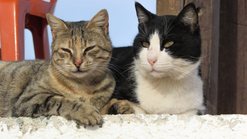 Необычные праздники мира: какие интересные торжества отмечают 21 декабря 2022 года