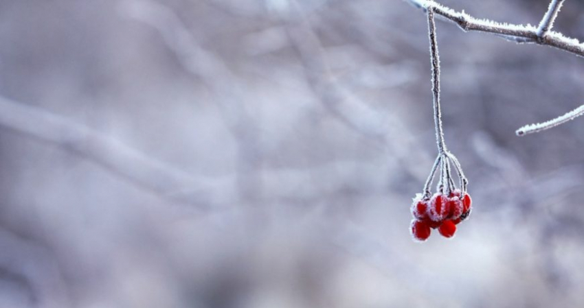 Значение старинных примет в праздник 30 декабря 2022 года, строгие запреты дня