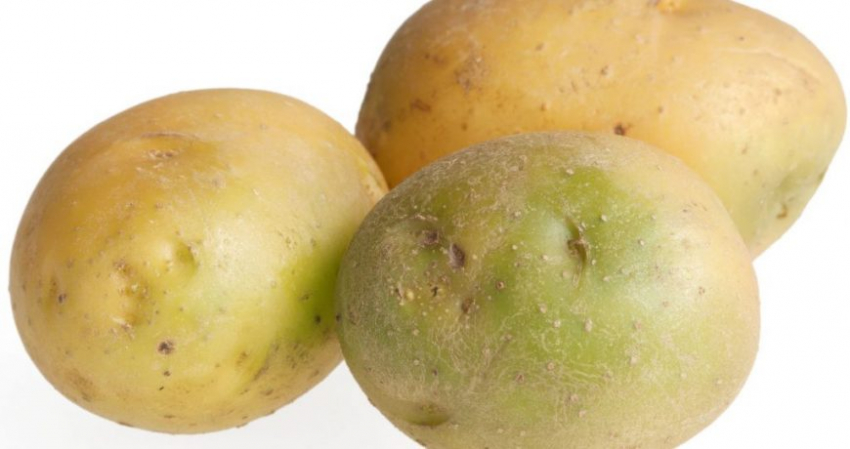 Зеленая картошка: причина проблемы и что делать