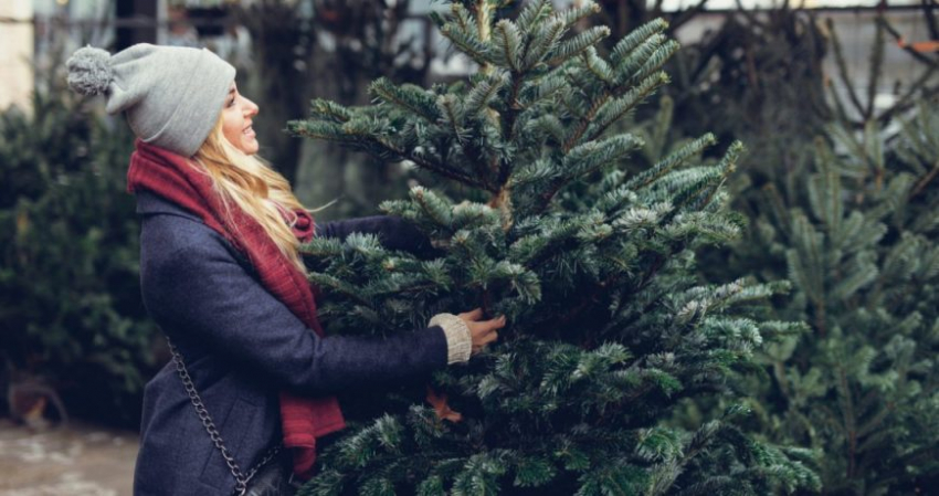 5 января отмечают праздник Зервана-Карана