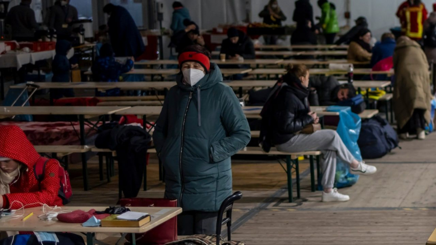 Издание Die Welt сообщило о процветании торговли украинскими беженцами в Европе