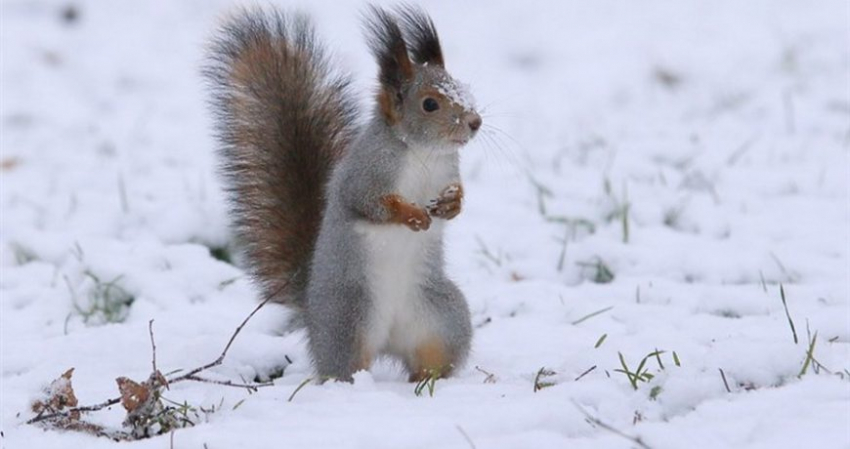 Какой праздник сегодня, 18 января 2023 года, отмечают в России и мире