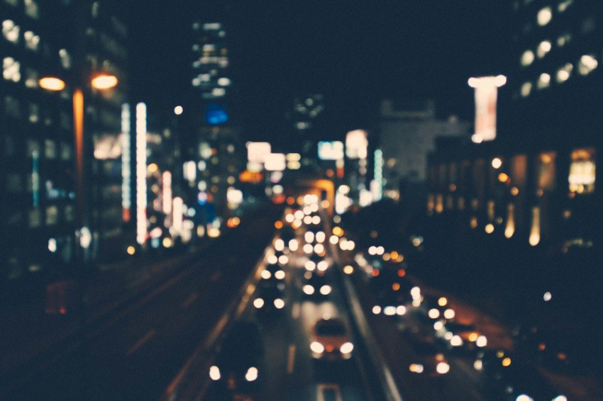 Насекомые подсказали, как избежать ночных аварий на дорогах