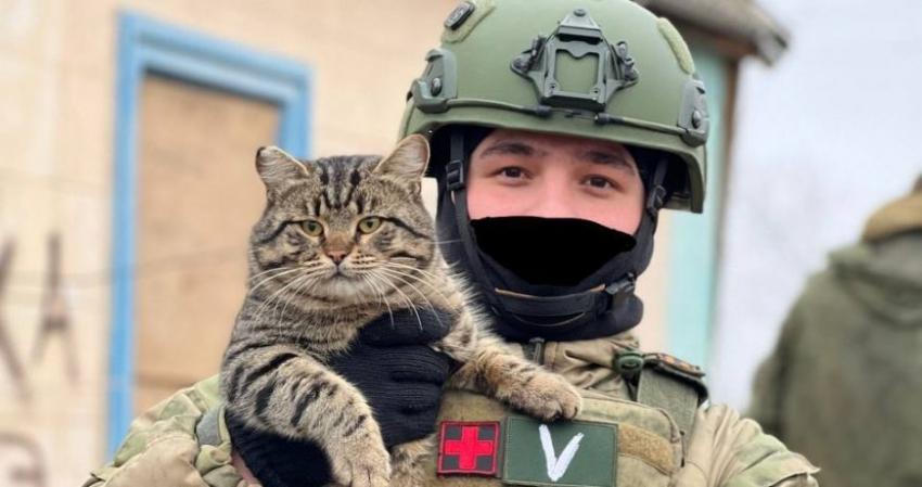 Обновленная карта военной операции на Украине на 23 января 2023 года: Киев готовит Запорожье к судьбе Мариуполя