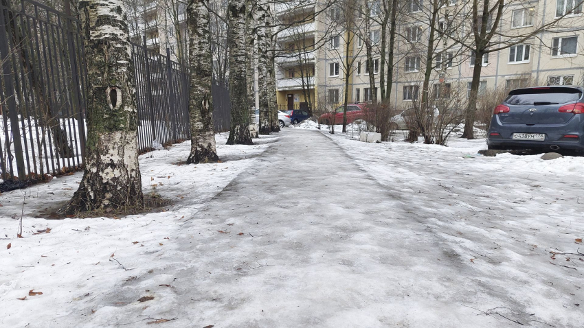 Как на поле боя: петербуржцы оценили состояние улиц в городе