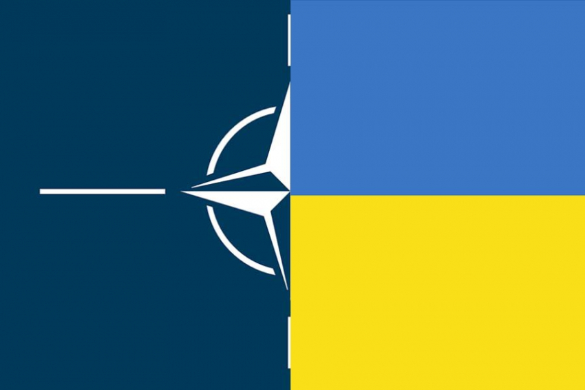 Военкор Котенок: Запад собирает на Украине «бронированный кулак», нацеленный на русскую армию
