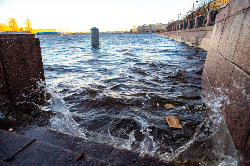 «Вода-то есть?»: результаты проверки чистоты рек вызвали критику петербуржцев