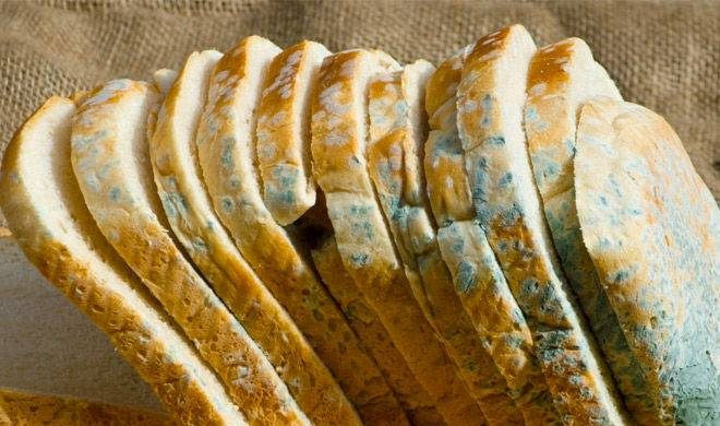 Диетологи рассказали, какой хлеб категорически нельзя есть