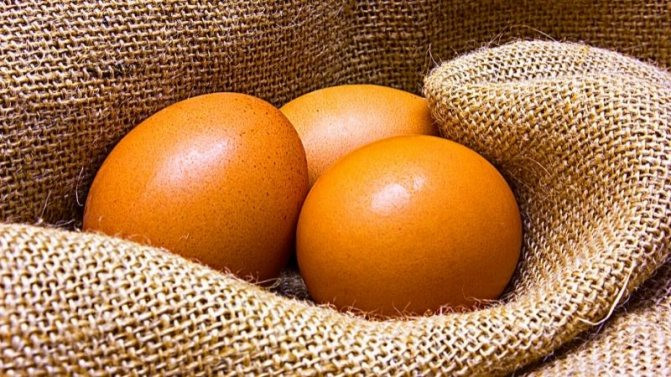 Плюсы и минусы яичной диеты: какие продукты можно есть