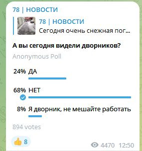 Большинство петербуржцев так и не увидели дворников, убирающих дороги после снегопада