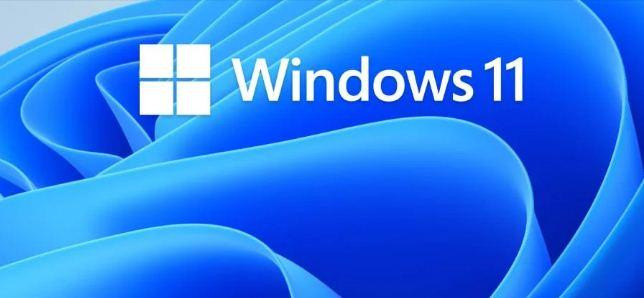 В Windows 11 обнаружили новую «Галерея» и «Проводник»