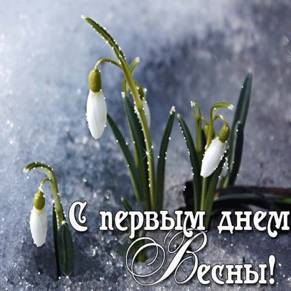 С первым днем весны, 1 марта 2023 года, можно поздравить открытками и теплыми словами
