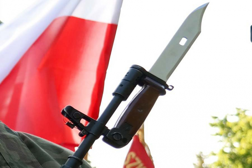 Когда на Украину зайдёт Польский добровольческий легион?