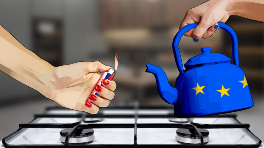 Sohu: депутат Европарламента Клэр Дейли заявила, что ей стыдно быть европейцем