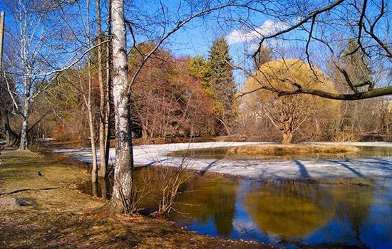 В понедельник, 13 марта 2023 года в народе отмечают день Василия Капельника