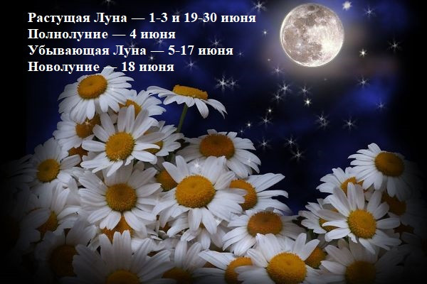 Сила «Царицы ночи»: лунный календарь дел с апреля по август 2023 года