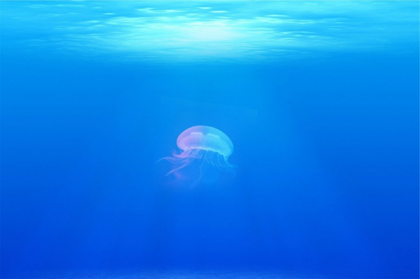 Профессор из Флориды пытается поставить рекорд, прожив под водой 100 дней