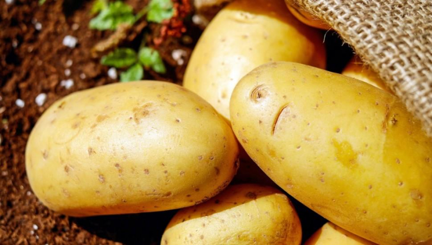Кардиолог Кореневич рассказала, с чем лучше не сочетать картофель