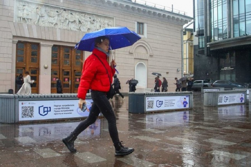 По прогнозу синоптиков в Санкт-Петербурге ожидаются дожди и мокрый снег