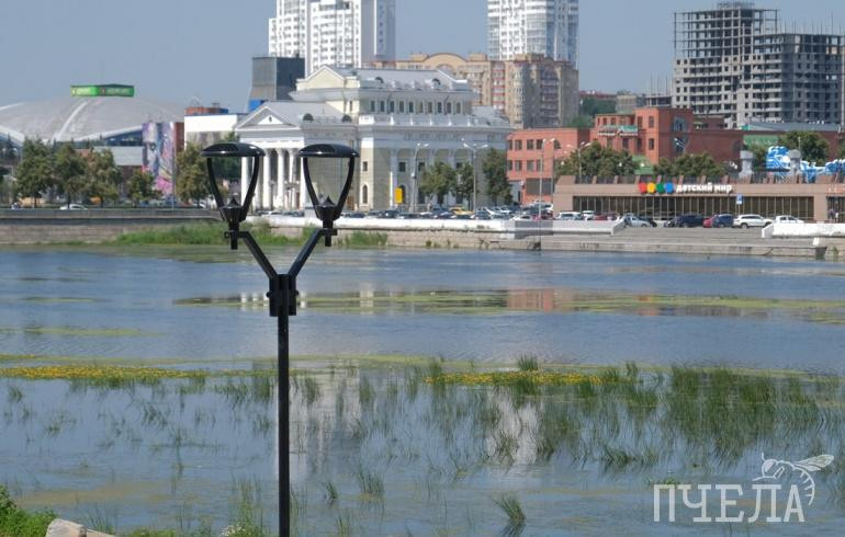 Жители Челябинской области проголосуют за лучшие объекты благоустройства в 2024 году