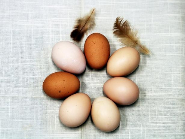 Диетолог Мезенцева рассказала, как правильно выбирать яйца в продуктовом магазине