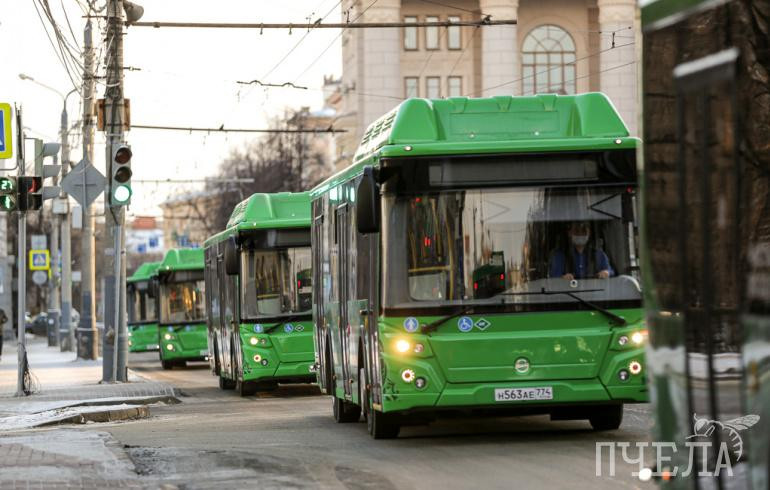 В Магнитогорске запустят 13 садовых маршрутов