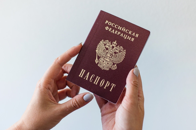 В Госдуме предупредили о депортации за дискредитацию российской армии