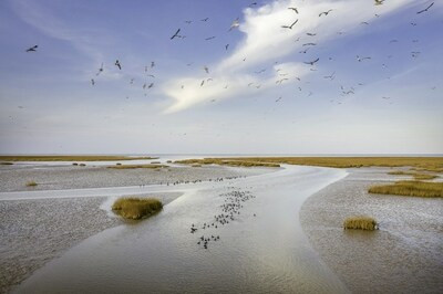 CGTN: Yellow River Culture Forum посвящен колыбели китайской цивилизации - Новая общественная газета