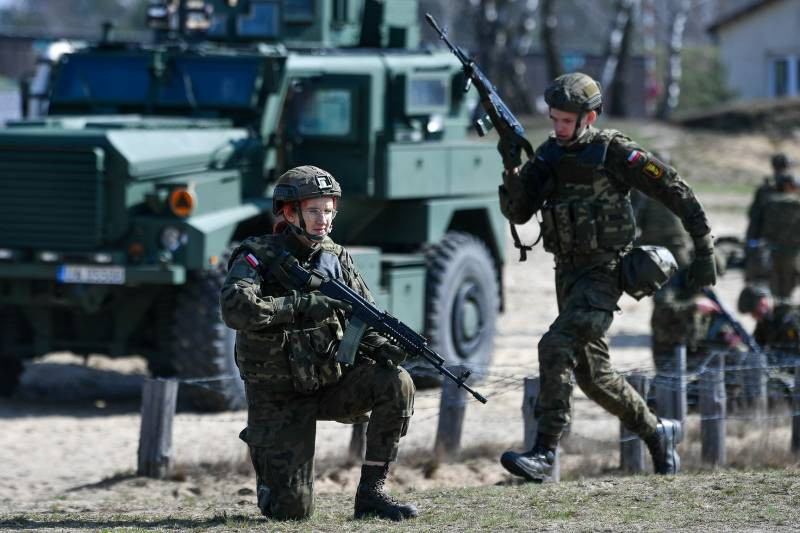 Польское СМИ: Варшава формирует международное воинское подразделение для действий на Украине