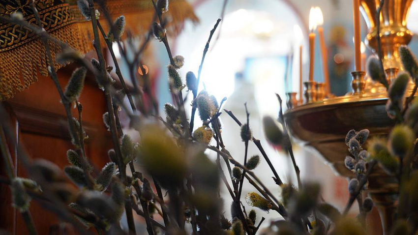 Вербная неделя с 3 по 9 апреля 2023 года: что можно и что нельзя делать, традиции и поверья