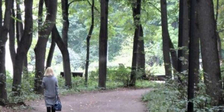 Когда же на Украине случится экономическое чудо