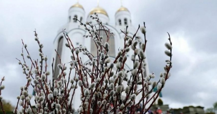 Самые красивые поздравления с пожеланиями в Вербное воскресенье