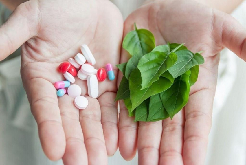Растения против таблеток: эффективные природные антибиотики