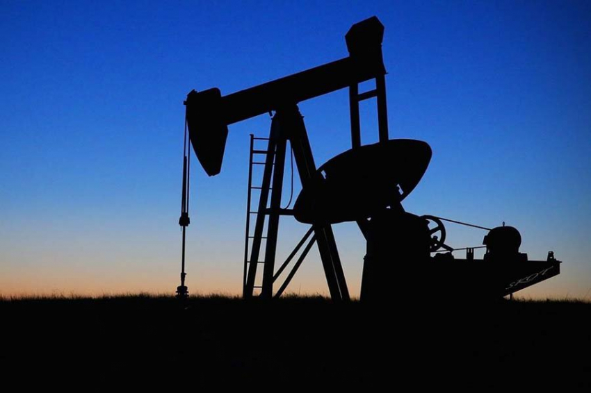 Российские ученые обнаружили поедающие нефть бактерии